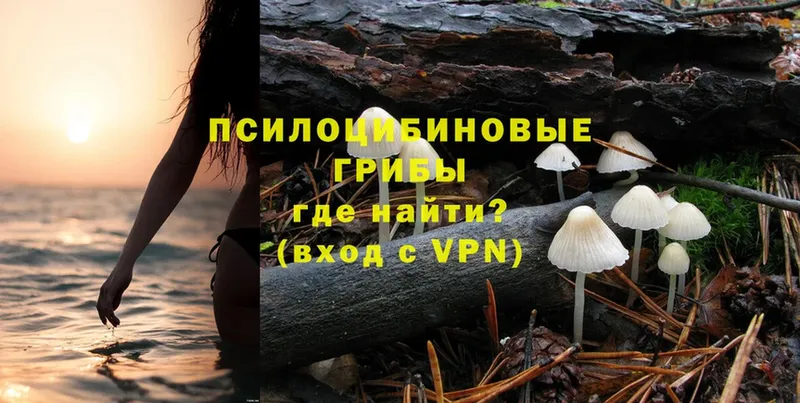 даркнет сайт  Новосиль  blacksprut как зайти  Галлюциногенные грибы Cubensis 